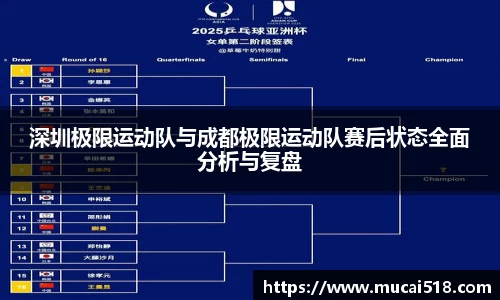 熊猫体育官网