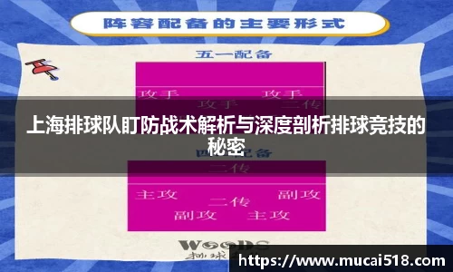 熊猫体育官网