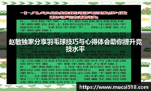 熊猫体育官网
