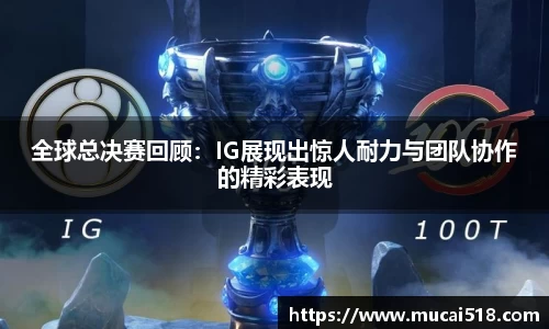 熊猫体育官网