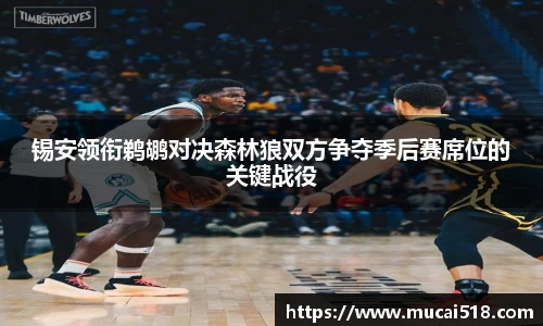 熊猫体育官网