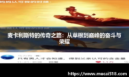 熊猫体育官网