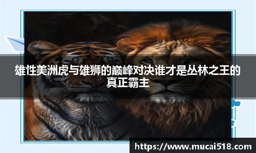 熊猫体育
