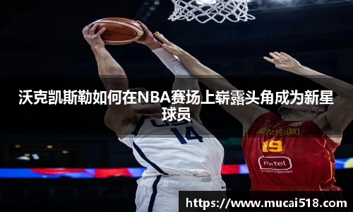 熊猫体育官网