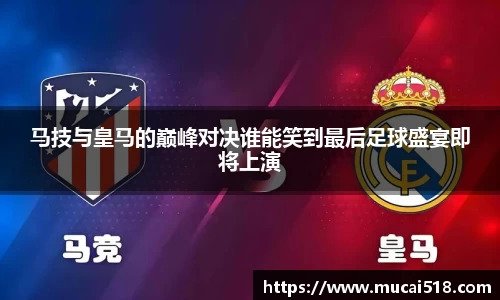 熊猫体育官网