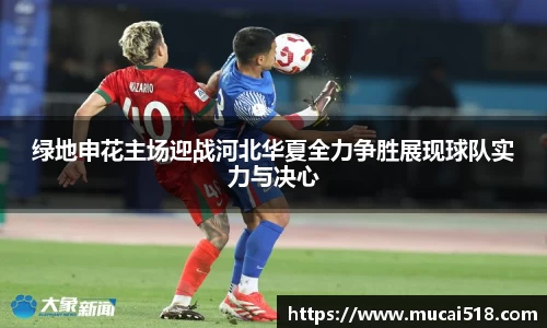 熊猫体育官网