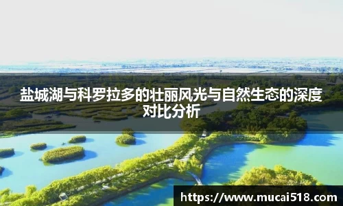熊猫体育首页