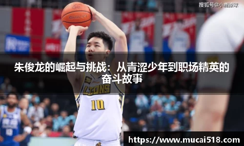 熊猫体育官网