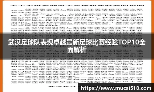 熊猫体育
