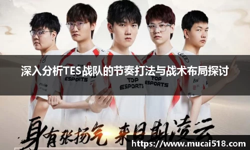 深入分析TES战队的节奏打法与战术布局探讨