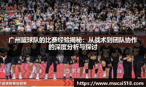熊猫体育官网