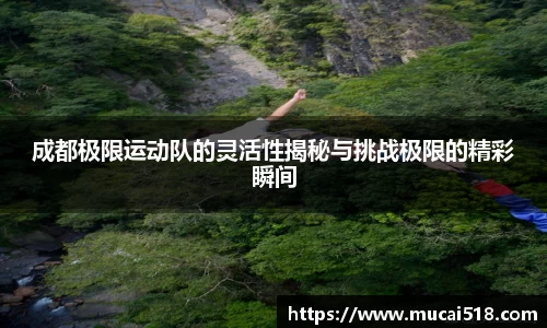 熊猫体育首页
