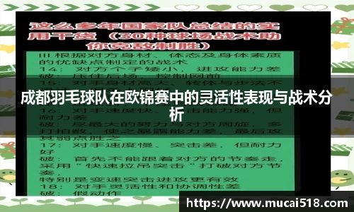 熊猫体育官网
